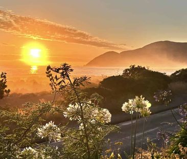 438 The Esplanade, Island Bay, Wellington City - Photo 5