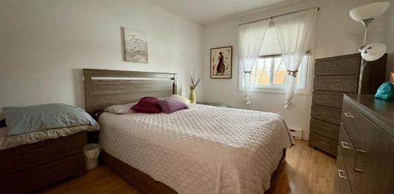 Appartement 4 ½ à louer Loretteville février 2026 - Photo 2