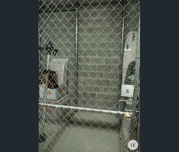 Luxurious Fully Furnished Unit - Available 17 December - Photo 2