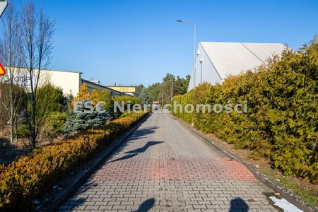 Piła, Zamość - Zdjęcie 5