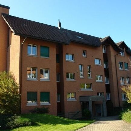 LOCATION SANS ACOMPTE - Bel appartement à Pfäffikon - Photo 1