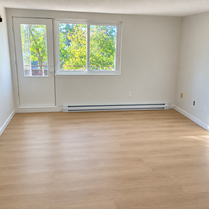 467 Chamberlain Street apartment — Peterborough, ON (1-Bedroom) - 1 Bedroom - Photo 1