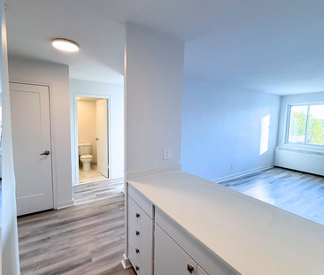 Beautiful Renovated 3.5 – 7355 Acadie - Photo 4