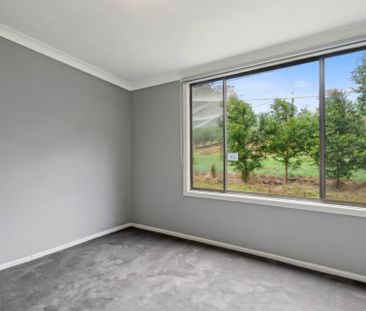 599 Pacific Highway, Korora NSW 2450 - House For Rent | Domain - Photo 2