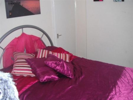 4 Bed Student House Edgbaston Birmingham - Photo 3