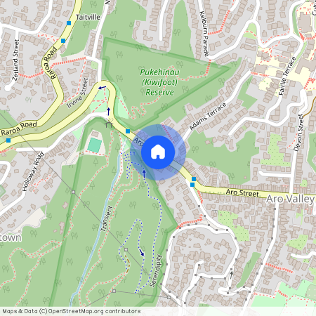 213 Aro Street, Aro Valley, Wellington City