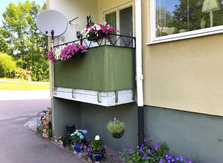 Avesta Hede: Tvåa i markplan - Photo 5