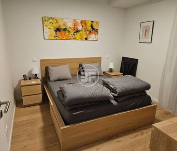 Alcazar F2 au coeur de Saint-Louis - Photo 3