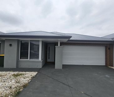 Stunning Family Home - Photo 4