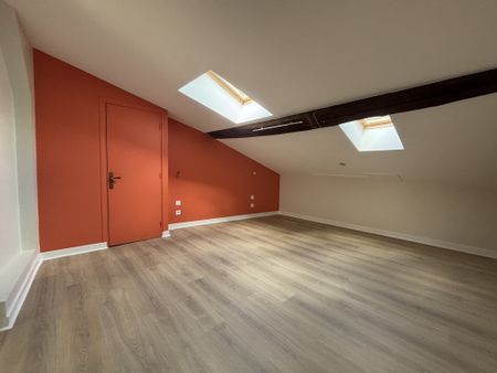 Location Appartement 1 pièce 46m² CHARLIEU 42190 - Photo 2