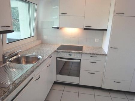 Leben neben der Schüssinsel - Vivre près de l'île de la Suze - Foto 3