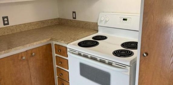 1 CH - 1 SDB - Côte Saint-Luc - $1,495 /mo - Photo 2