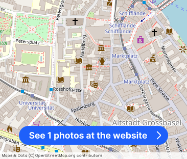 Best destinations in Basel - WEEKLY RENTALS from chf 875 - Photo 1