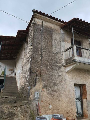 Μονοκατοικία για ενοικίαση Λιβαδάκι (Τρόπαια) - Photo 4