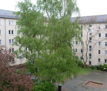 Neu renoviertes Zuhause! Helle 3-Zimmer-Wohnung ab sofort frei - Photo 1