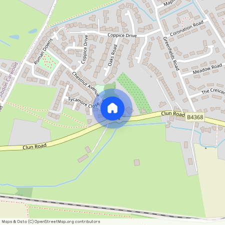 Willow Grove, Alexandra Park, Craven Arms