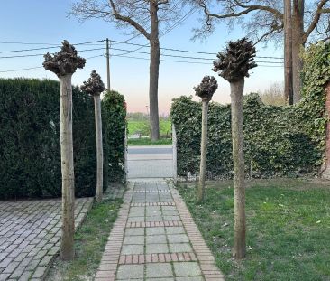 Molenveld 73 - Photo 4