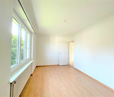 Perfekte Lage, perfektes Zuhause - St. Gallen - Photo 3