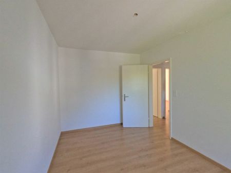 #verliebtinschaffhausen - wundervolle Wohnung mit neuer Küche, neuem Bad und sonnigem Balkon - Photo 2