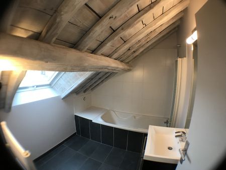Appartement F3 à louer sur Troyes dans le département de l'Aube - Photo 3