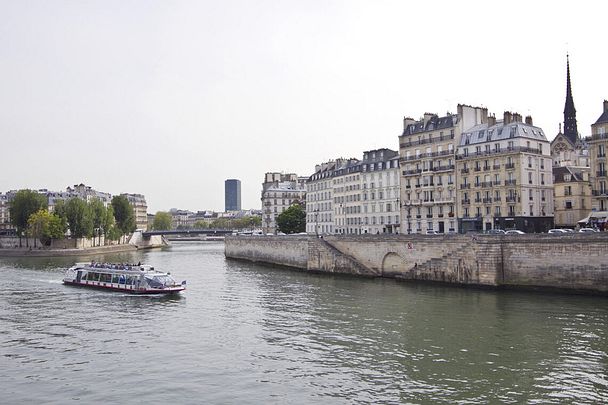 Location place Dauphine, Paris 1er - Photo 1