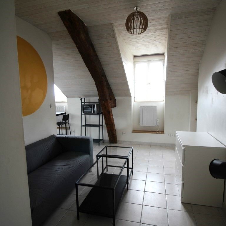 Location Appartement 1 pièce 24m² NANTES 44100 - Photo 1