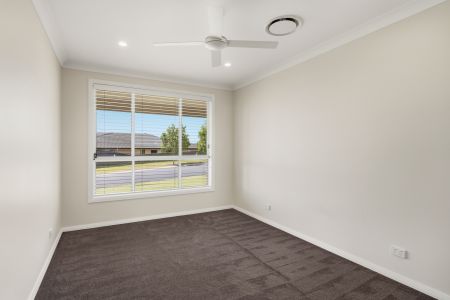 51 Stayard Drive, Bolwarra Heights NSW 2320 - Photo 5