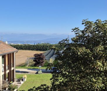 Joli studio au 1er étage à Signy avec balcon vue sur les Alpes - Photo 1