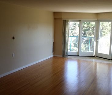 LIVE ON THE BEACH!: 1 month free rent in a 1 Bed,1 Bath in Lower Mi... - Photo 1