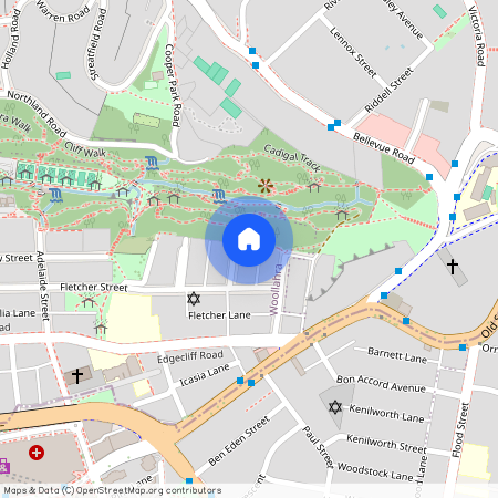 11/15 Raine Street, NSW 2025, Woollahra