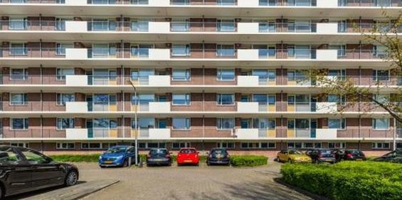 Professor Cobbenhagenlaan 5037 Tilburg - Photo 3