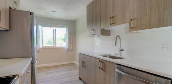 Large 1-bedroom with new kitchen, dishwasher available Nov. 1st. - Photo 2