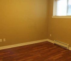 $995 / 2br – 700ft2 – 2 bedrooms & 1 bath basement suite (Port Coqu... - Photo 2