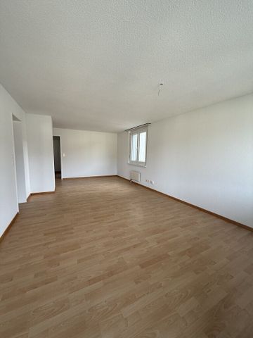 Generous apartment in the best location - Photo 4