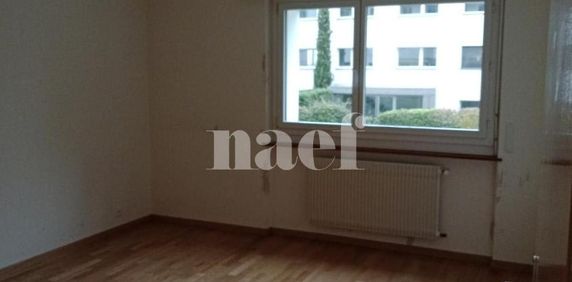 2.5 Zimmer, 62 m², 1. Stock - Foto 2