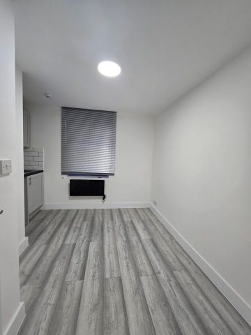 Studio Flat, Burlington Gardens, W3 - Photo 2