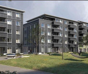 2.5-room apartment for rent in Ballwil - Foto 3