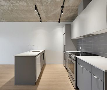 530 Rue Saint-Hubert apartment — Montréal, QC (1-Bedroom) - 1 Bedroom - Photo 2