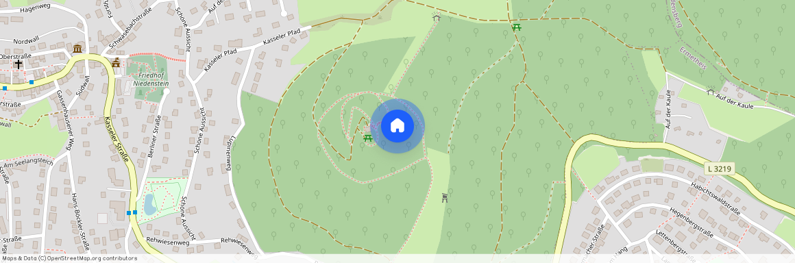 34305 Hessen - Niedenstein