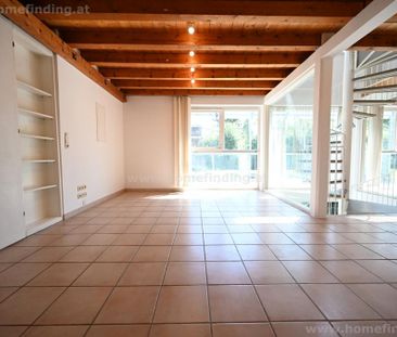 Wohnen bei der Alten Donau: sonniges Einfamilienhaus - 4 Schlafzimmer - Photo 4