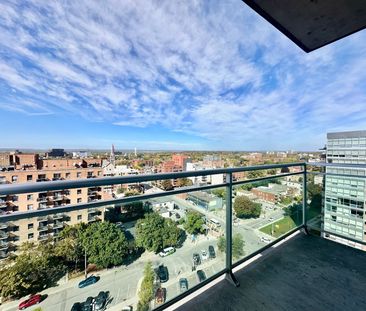 For Lease - 134 York Street Unit# 1308, Lower Town - Sandy Hill, On... - Photo 3