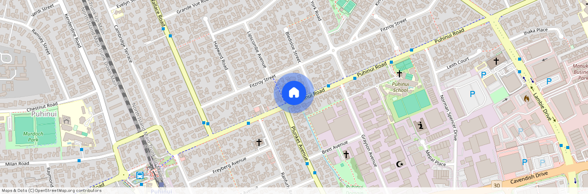 137 Puhinui Road, Papatoetoe, Auckland