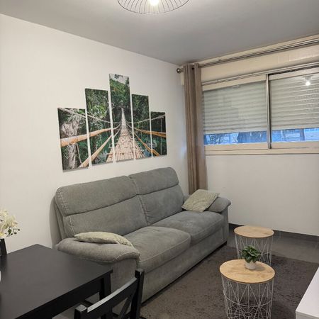 T2 meublé - rue de Bourgogne - Photo 4