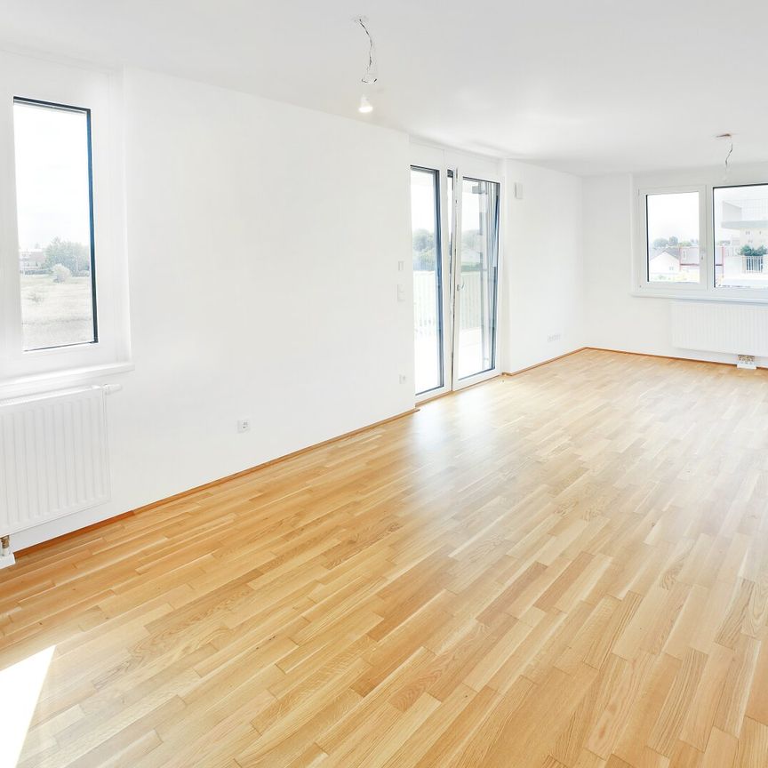 DER BALLON - ANKOMMEN UND ABHEBEN - NATURNAHES WOHNEN NAHE DER SEESTADT ASPERN - Photo 1