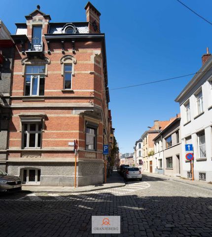 Gerenoveerde woning met 4 slpk's en terras hartje Gent (geschikt voor co-housing) - Foto 3