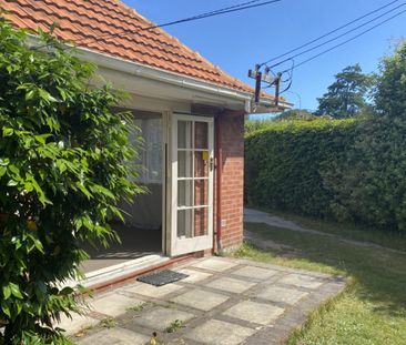 Comfortable Living in the Heart of Burnside - Photo 1