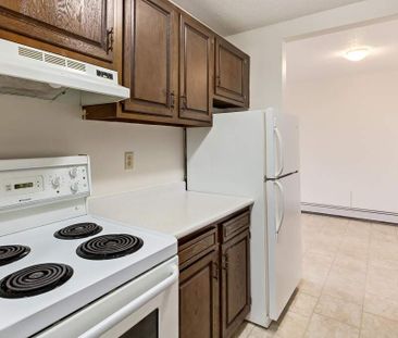 Renovated Suite - 2 Bedroom - Photo 5