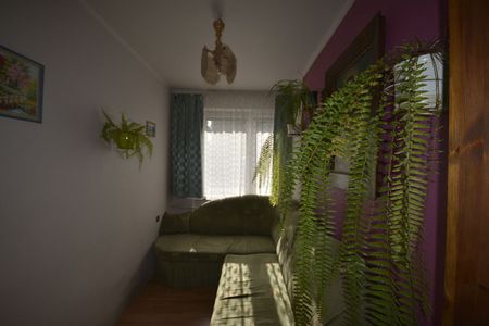 ŚLĄSKIE, Michałkowice, Stawowa, Siemianowice Śląskie - Photo 2