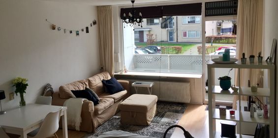 Boksdoornerf, 205 - Foto 3