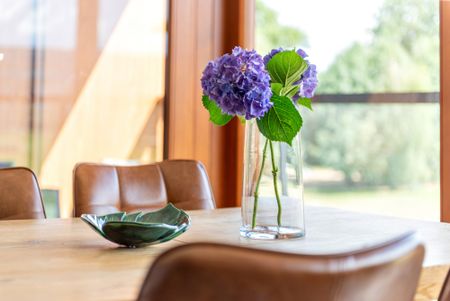 Warszawa, Wilanów, Warszawa, Wilanów - Zdjęcie 5